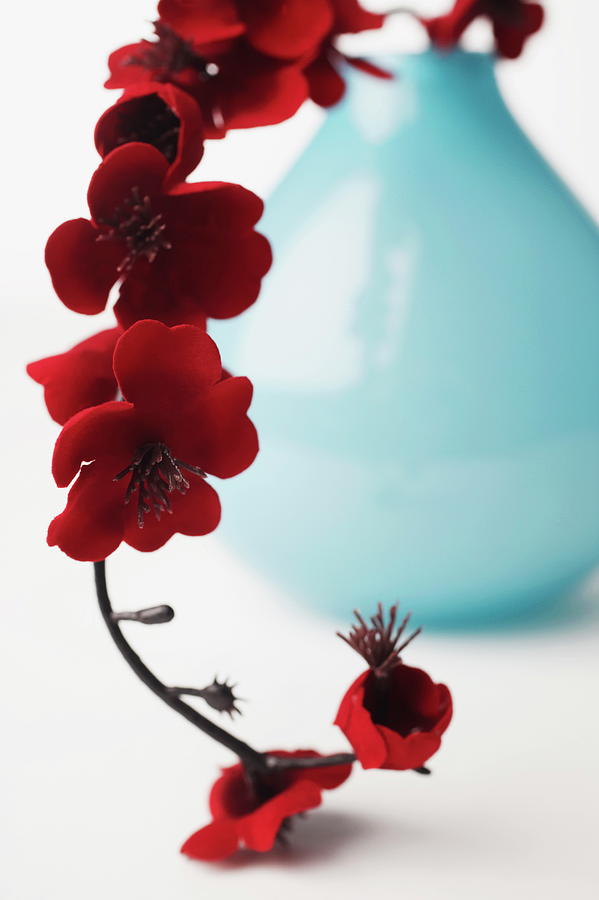 Close-up Of A Branch Of Red Flowers In Photograph by Jack Hollingsworth Close-up Of A Branch Of Red Flowers In Photograph by Jack Hollingsworth