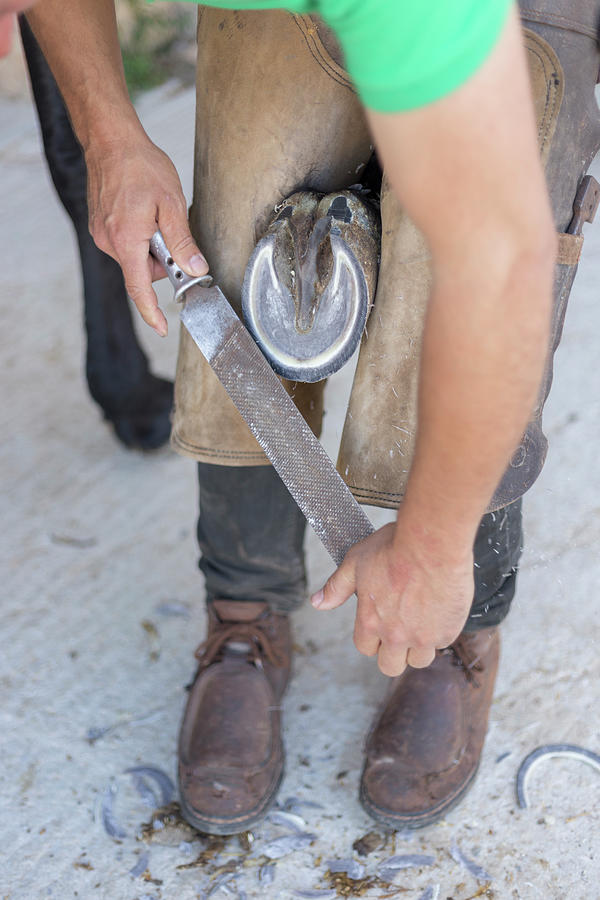 Tool Photograph - Close Up Of A Farrier Filing The Hoof Of A Horse by Cavan Images