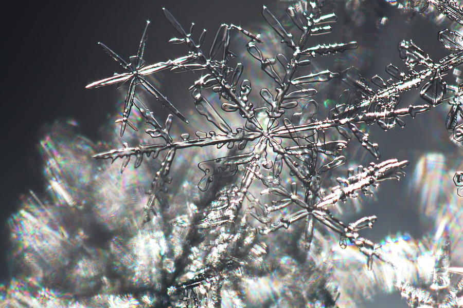 Close up of a glittering snowflake Photograph by Intensivelight