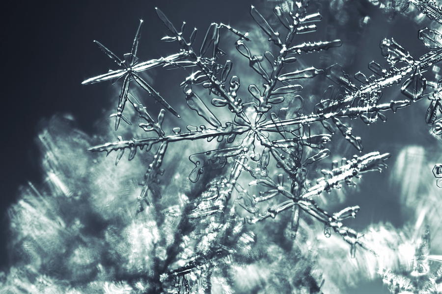 Close up of a glittering snowflake - monochrome blue Photograph by Intensivelight