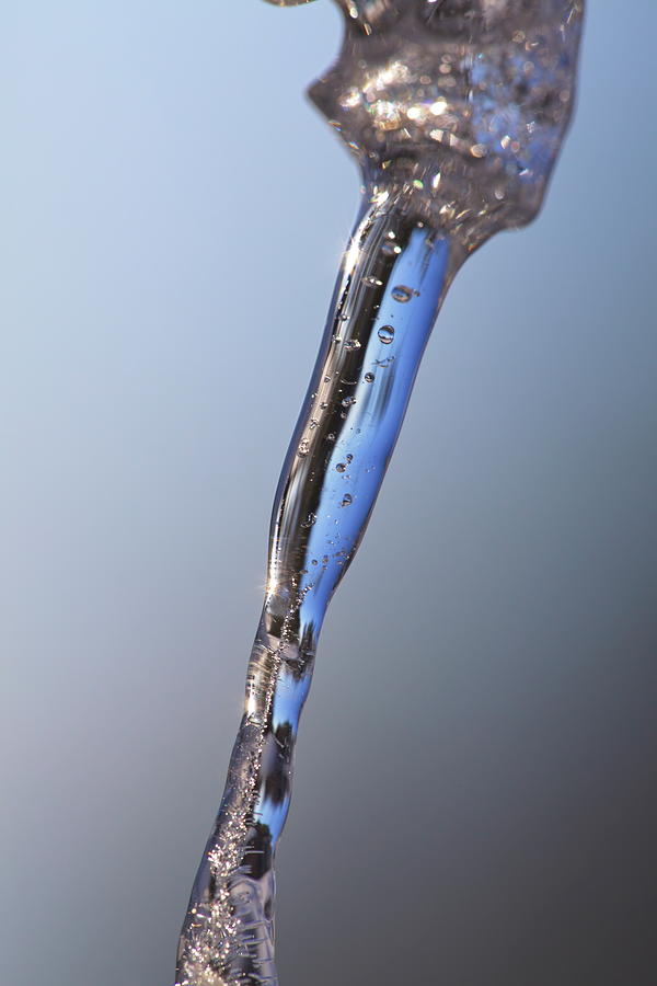 Close up of a single icicle in front of a blue sky Photograph by Intensivelight