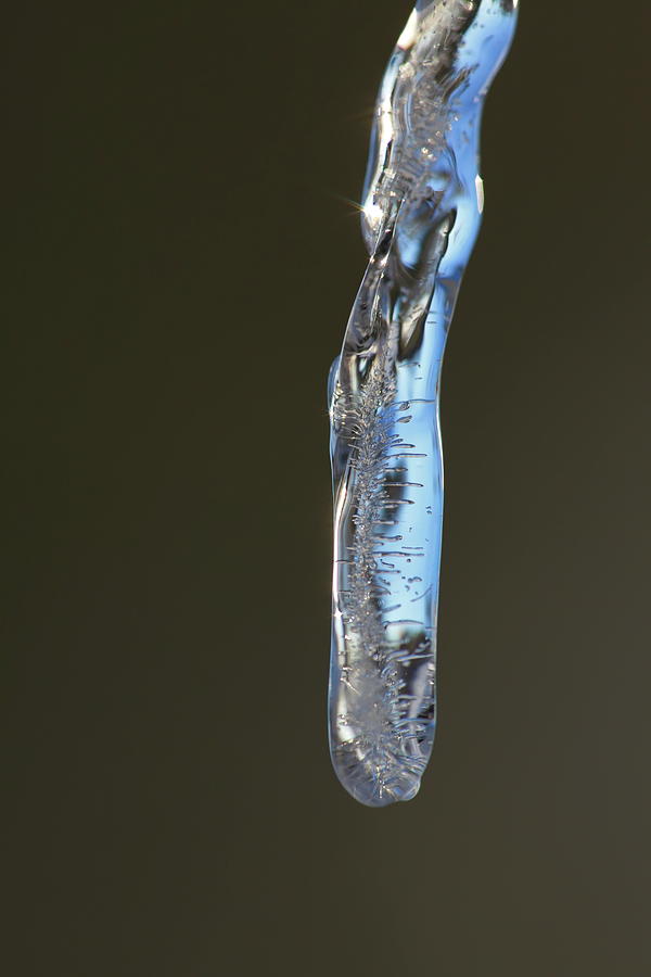 Close up of a single icicle Photograph by Intensivelight