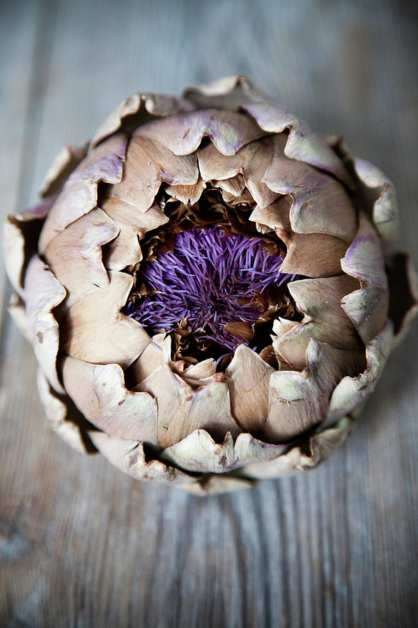 Nature Photograph - Close Up Of Artichoke by Hall, Ellinor