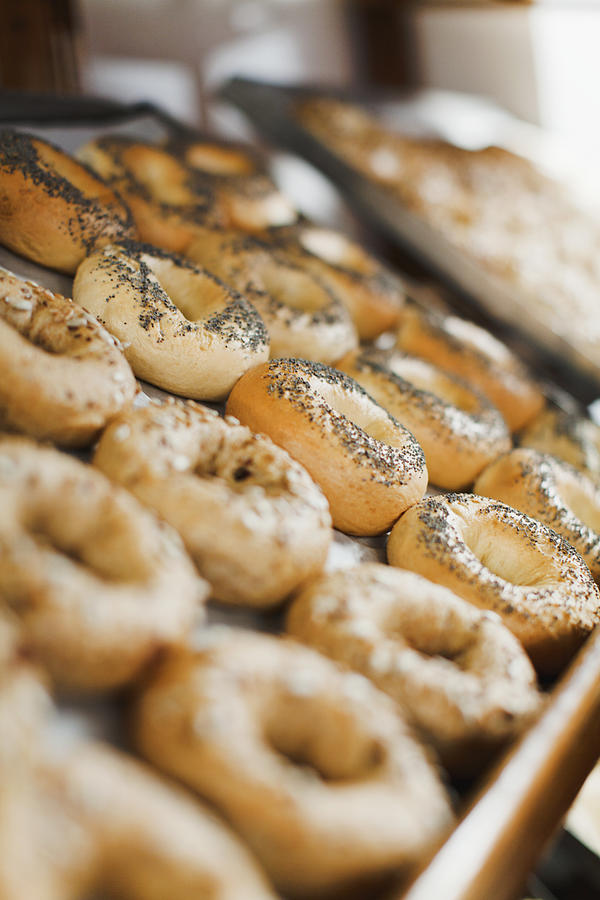 Close Up Of Bagels In Bakery Photograph by Hybrid Images