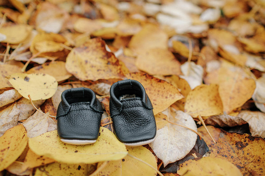 Nature Photograph - Close-up Of Black Baby Booties On Dry Yellow Leaves In Forest During Autumn by Cavan Images