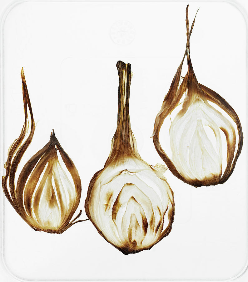 Onion Digital Art - Close Up Of Browned Onions by Lisbeth Hjort