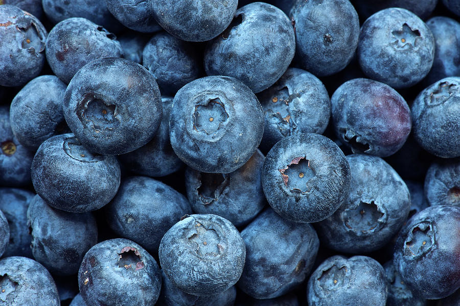 Close Up Of Bunch Of Blueberries Photograph by Ross Woodhall