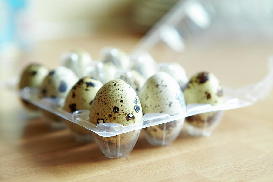 Close Up Of Carton Of Quail Eggs Photograph by Debby Lewis-harrison