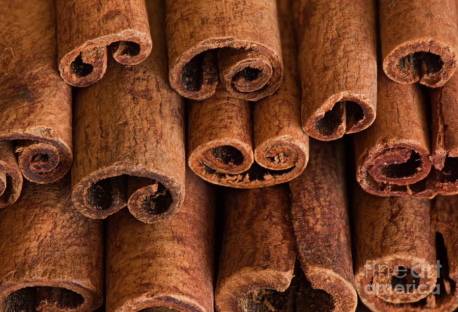 Close Up Of Cinnamon Sticks, Calgary Photograph by Will C