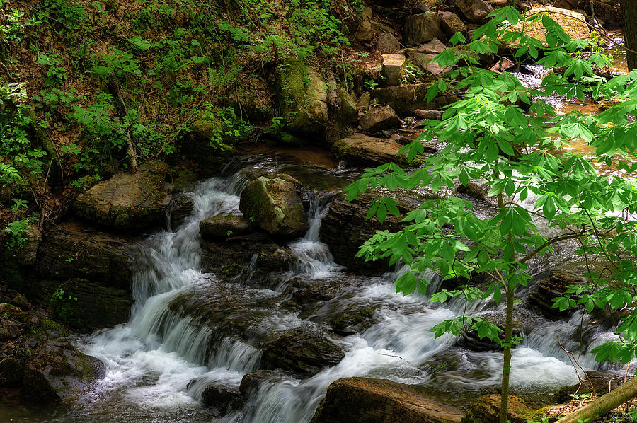 Close up of Creek water flowing over rocks by Dee Browning Close up of Creek water flowing over rocks by Dee Browning