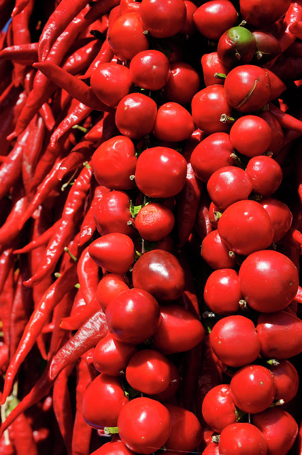 Close-up Of Different Types Of Red Peppers Photograph by Jalag / Alan ...