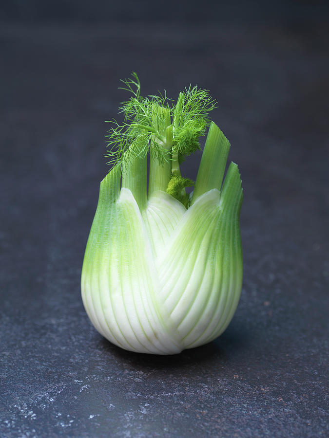 Close Up Of Fennel Head Photograph by Diana Miller