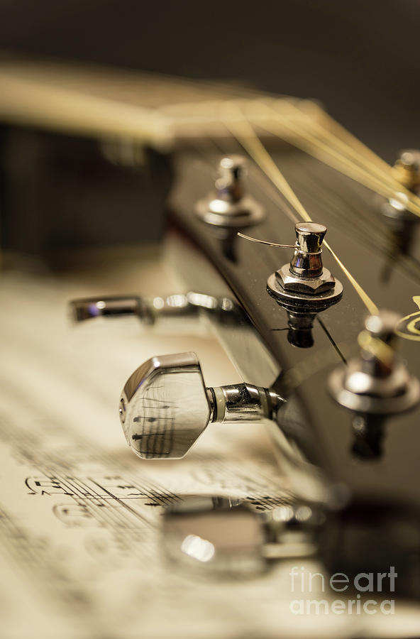 Close Up Of Guitars Head, Riga, Latvia Photograph by Jurijs Buts
