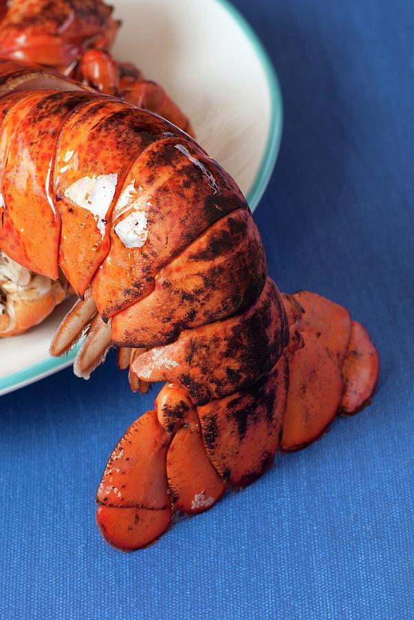 Close Up Of Lobster Tail Photograph by Spyros Bourboulis