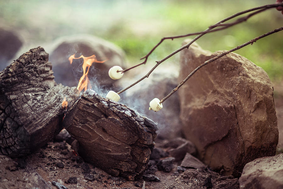 Marshmallow Photograph - Close-up Of Marshmallows Roasting On Campfire In Forest by Cavan Images