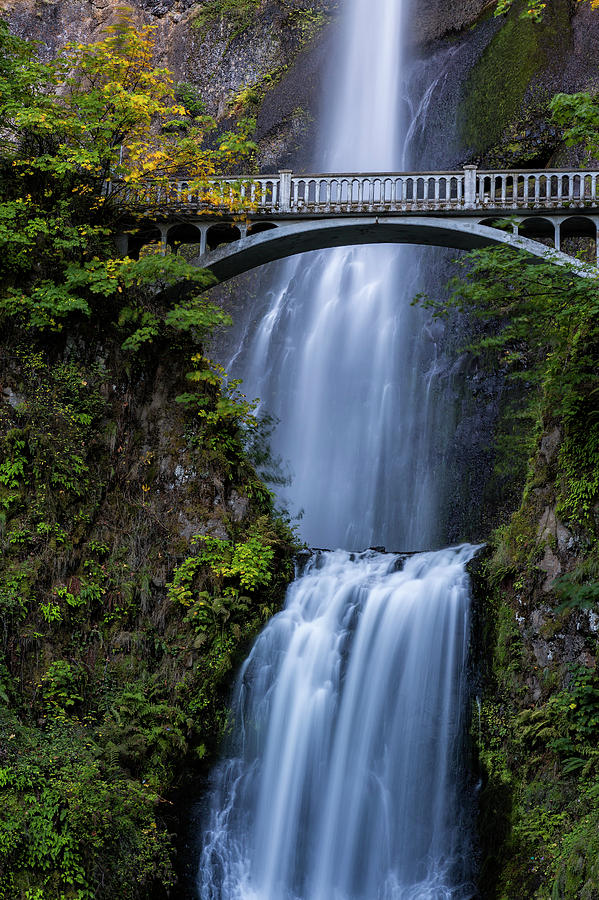 Close-up of Multnomah Falls and Benson Footbridge by Belinda Greb Close-up of Multnomah Falls and Benson Footbridge by Belinda Greb