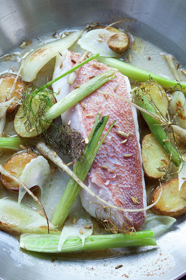 Close-up Of North Sea Redfish, Garden Fennel And Potatoes In Bowl Photograph by Jalag / Joerg Lehmann