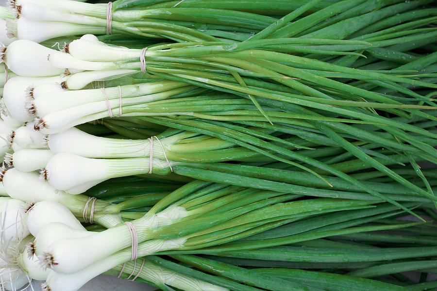 Close-up Of Organic Scallions At Photograph by Ron Fehling