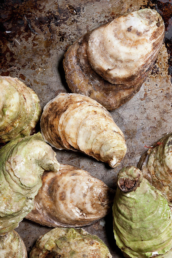 Nature Digital Art - Close Up Of Oyster Shells by David De Stefano