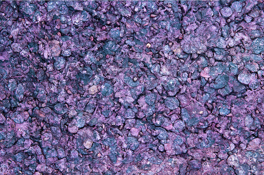 Close Up Of  Pomace From  Red Grapes Photograph by Paolo Negri