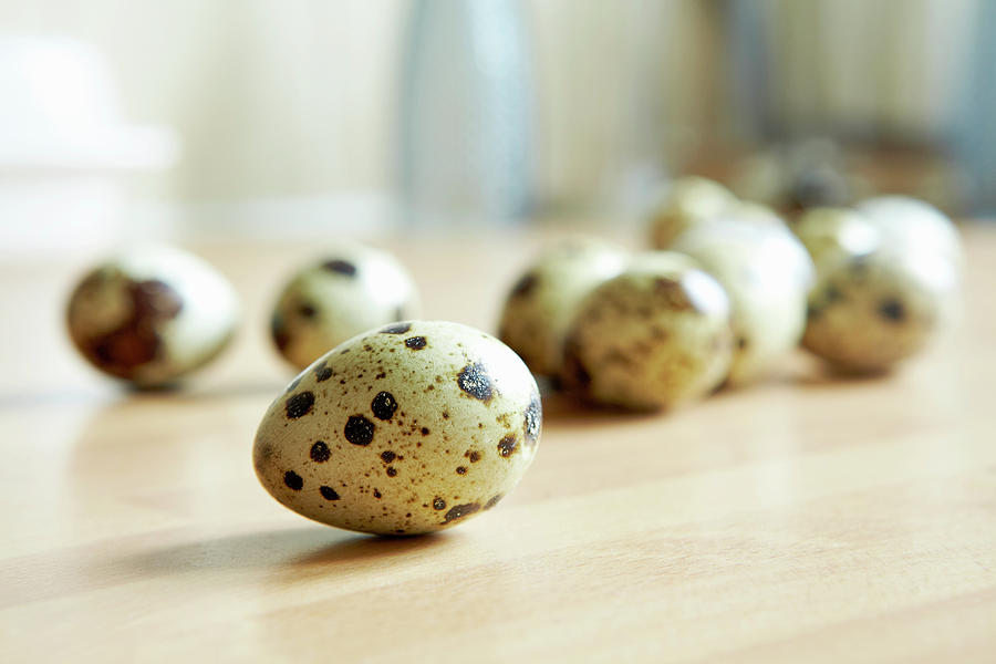 Close Up Of Quail Eggs On Counter Photograph by Debby Lewis-harrison