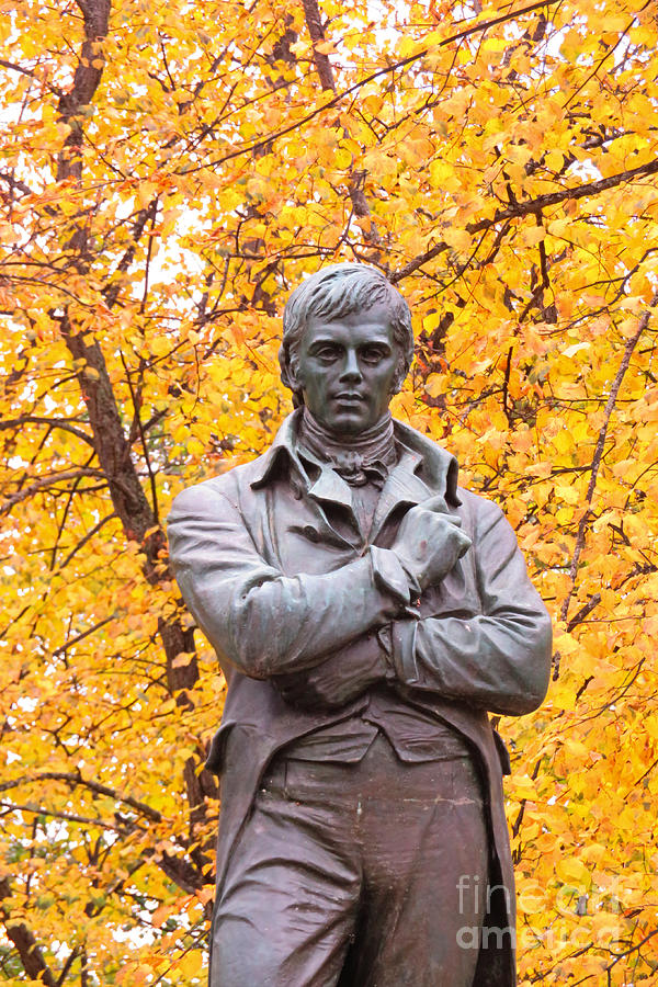 Close Up of Robbie Burns Statue Photograph by John Malone - Fine Art ...