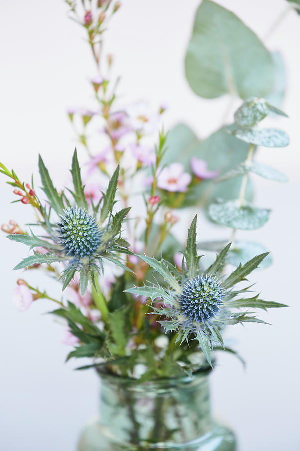 Close Up Of Sea Holly Flowers Photograph by Brigitte Sporrer