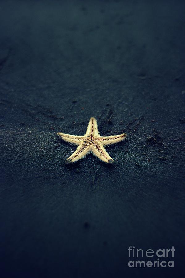 Close-up Of Starfish At Beach Photograph by Anupam Kamal