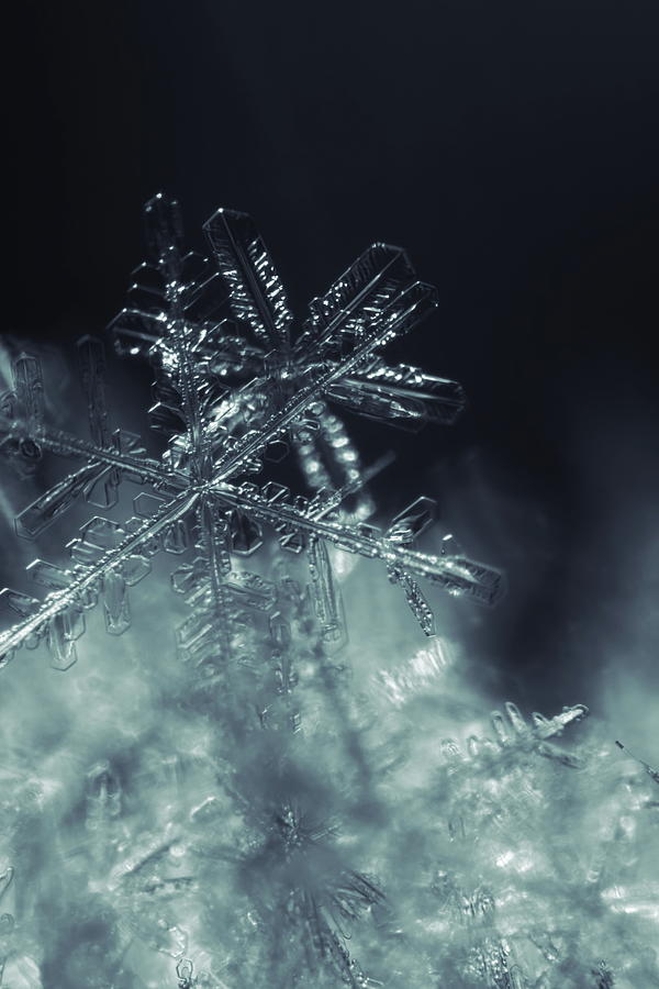 Close up of transparent snowflakes Photograph by Intensivelight