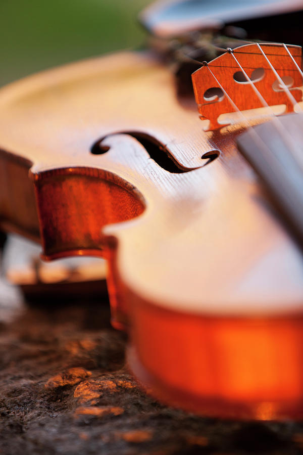 Close-up Of Violin Photograph by Eriksson, Per