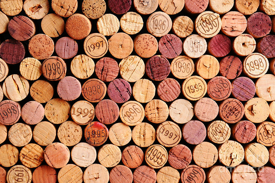 Date Photograph - Closeup Of A Wall Of Used Wine Corks by Steve Cukrov Date Photograph - Closeup Of A Wall Of Used Wine Corks by Steve Cukrov