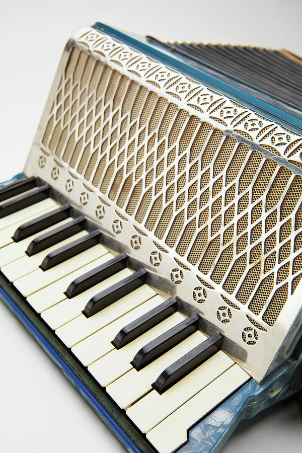 Closeup Of Antique Accordion Keyboard Photograph by Robert George Young