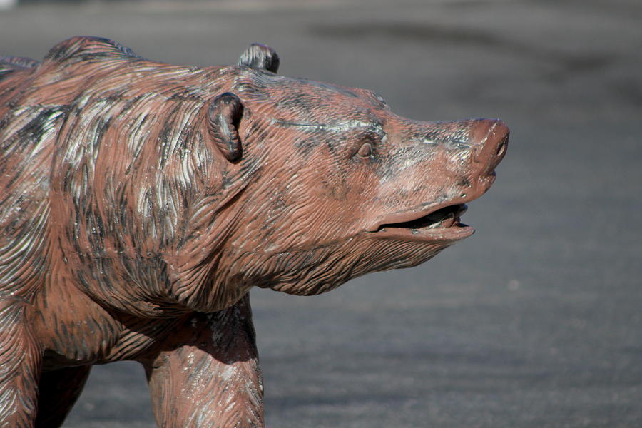 Closeup of Grizzly Bear Sculpture Photograph by Colleen Cornelius
