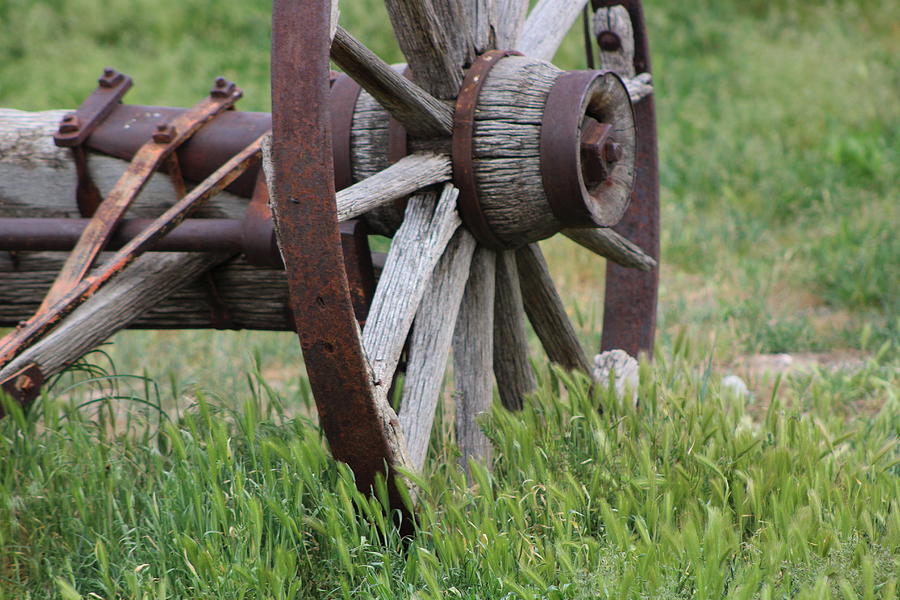 Closeup Vintage Wooden Wagon Wheel in Grass Photograph by Colleen Cornelius