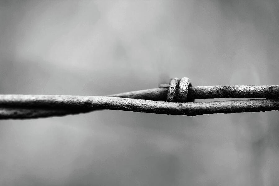 Closing In by Natural Abstract Photography Closing In by Natural Abstract Photography