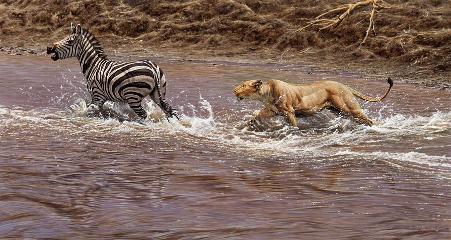 Closing In - Lion Chasing a Zebra Painting by Alan M Hunt