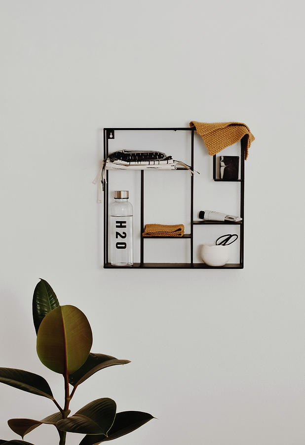 Cloths, Water Bottle, Knitted Cloth And Soap On Delicate, Black, Wall-mounted Shelves Above Ficus Plant Photograph by Agata Dimmich