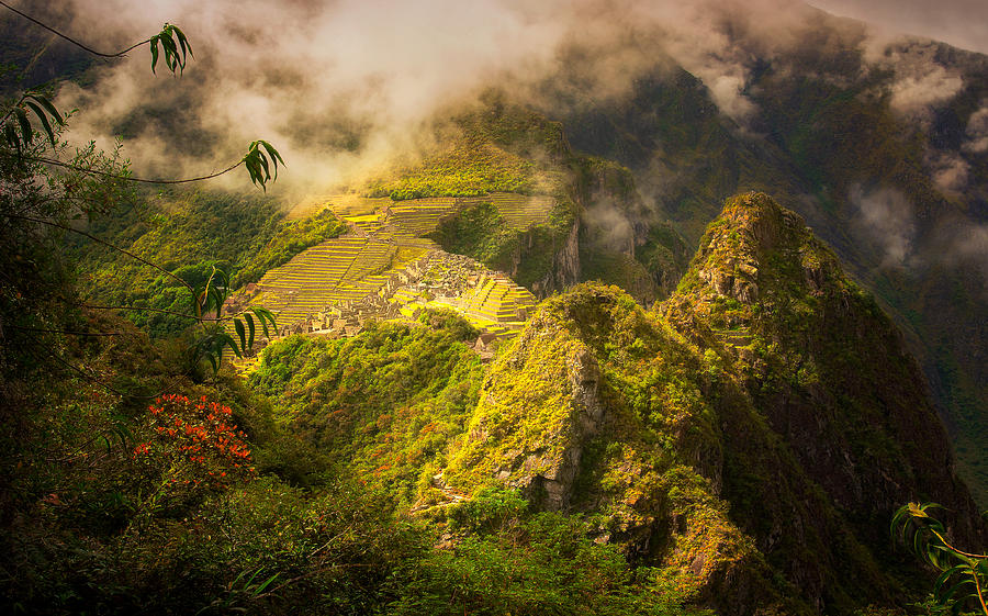 Jungle Photograph - Cloud City by Stuart Deacon