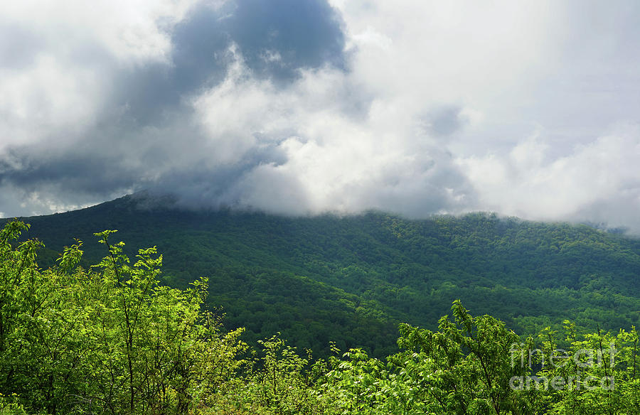 Cloud Covered Mountain Top Photograph by Rachel Cohen