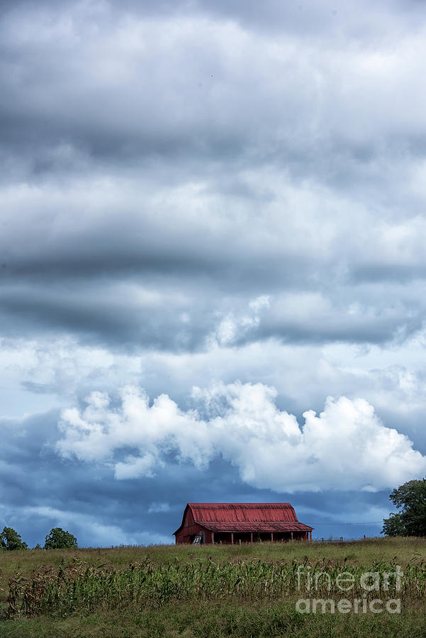 Cloud Drama Photograph by Nicki McManus