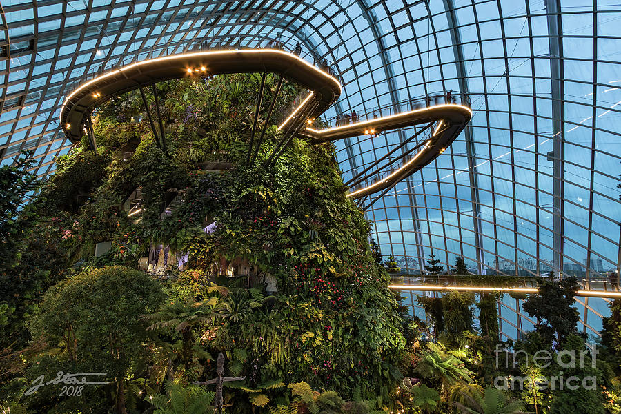 Cloud Forest Photograph by Jeffrey Stone