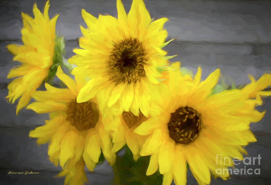 Cloud of sunflowers by Dominique Guillaume Cloud of sunflowers by Dominique Guillaume