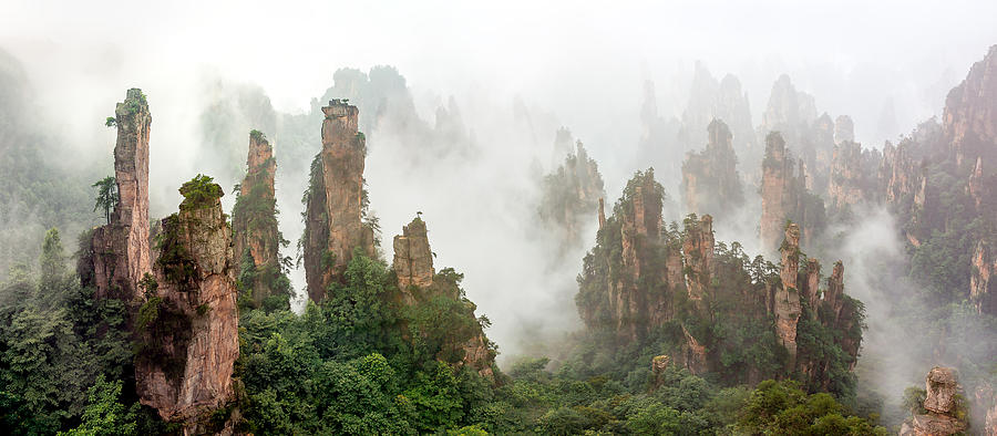Cloud-shrouded Zhangjiajie Photograph by Hua Zhu