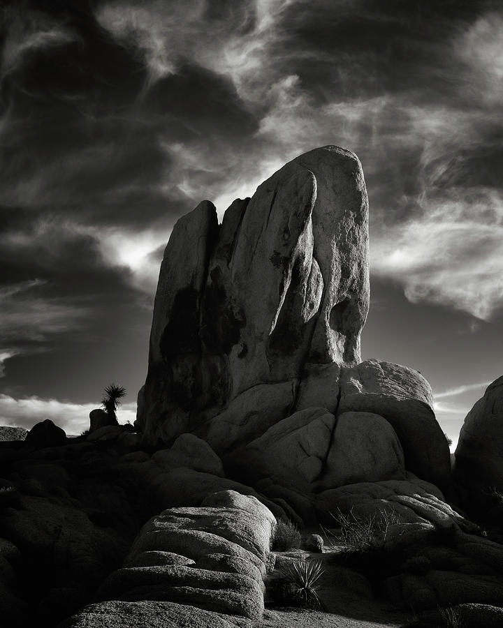 Joshua Tree National Park Photograph - Cloud Whispers by Joseph Smith