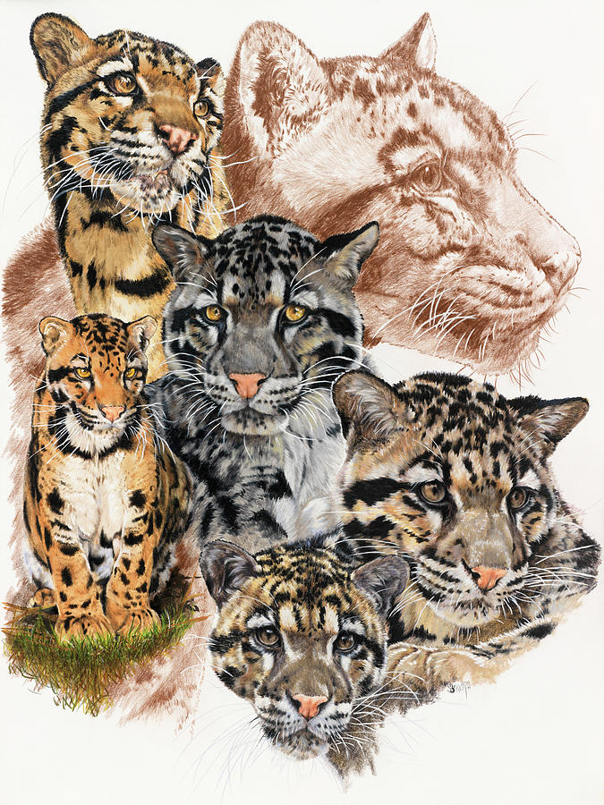 Leopard Painting - Clouded Leopard With Ghost Image by Barbara Keith