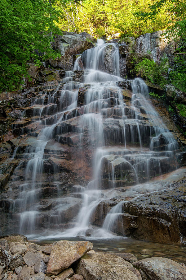 Spring Photograph - Cloudland Falls Spring by White Mountain Images