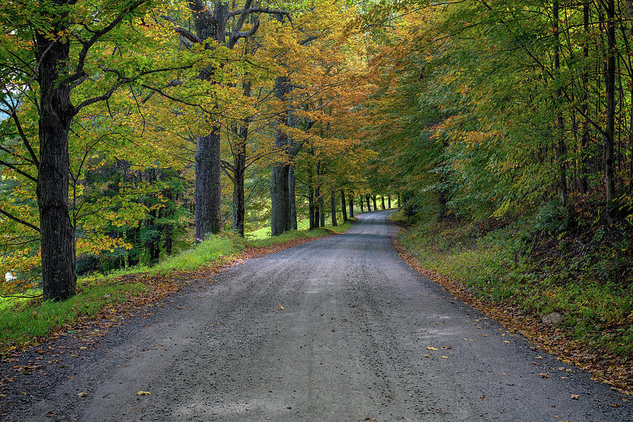 Fall Photograph - Cloudland Road by Rick Berk