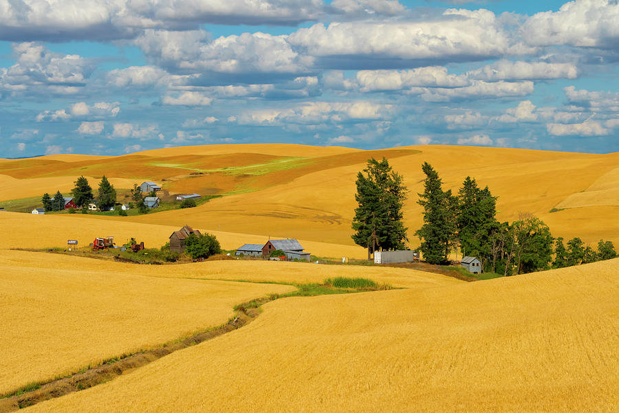 Clouds Above Farm House On Wheat Field Photograph by Keren Su - Pixels