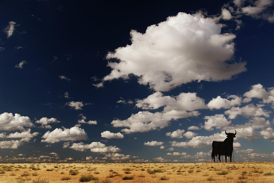 Clouds And Bull Photograph by Photo By Cuellar