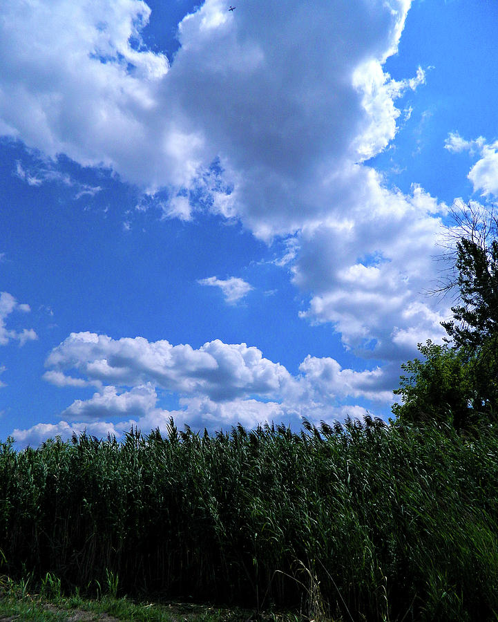 Clouds and Crops Photograph by Cyryn Fyrcyd